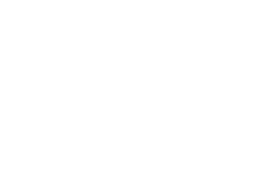 Logo SWG South western Groupe d'assurances en blanc