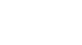 Logo CHUBB en blanc