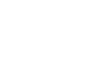Logo CHES Solutions Spécialisées en blanc